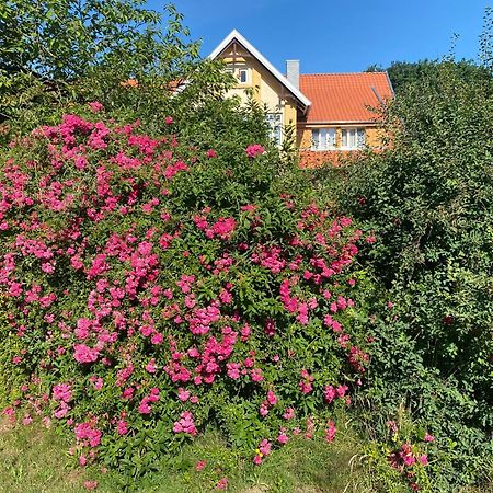 Apartamento Neulandhof Spoering Walsrode Exterior foto